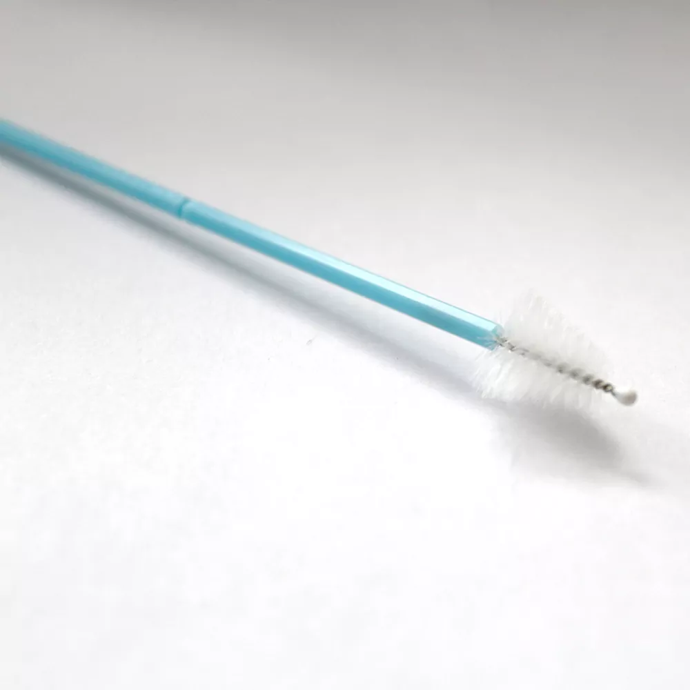 Scuab Ceirbheacsach de chineál Broom